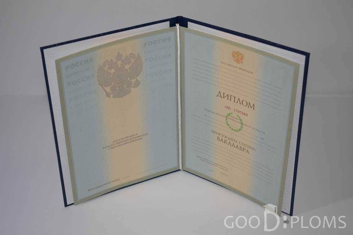 Диплом Бакалавра в период c 2003 по 200 год - Кривой Рог