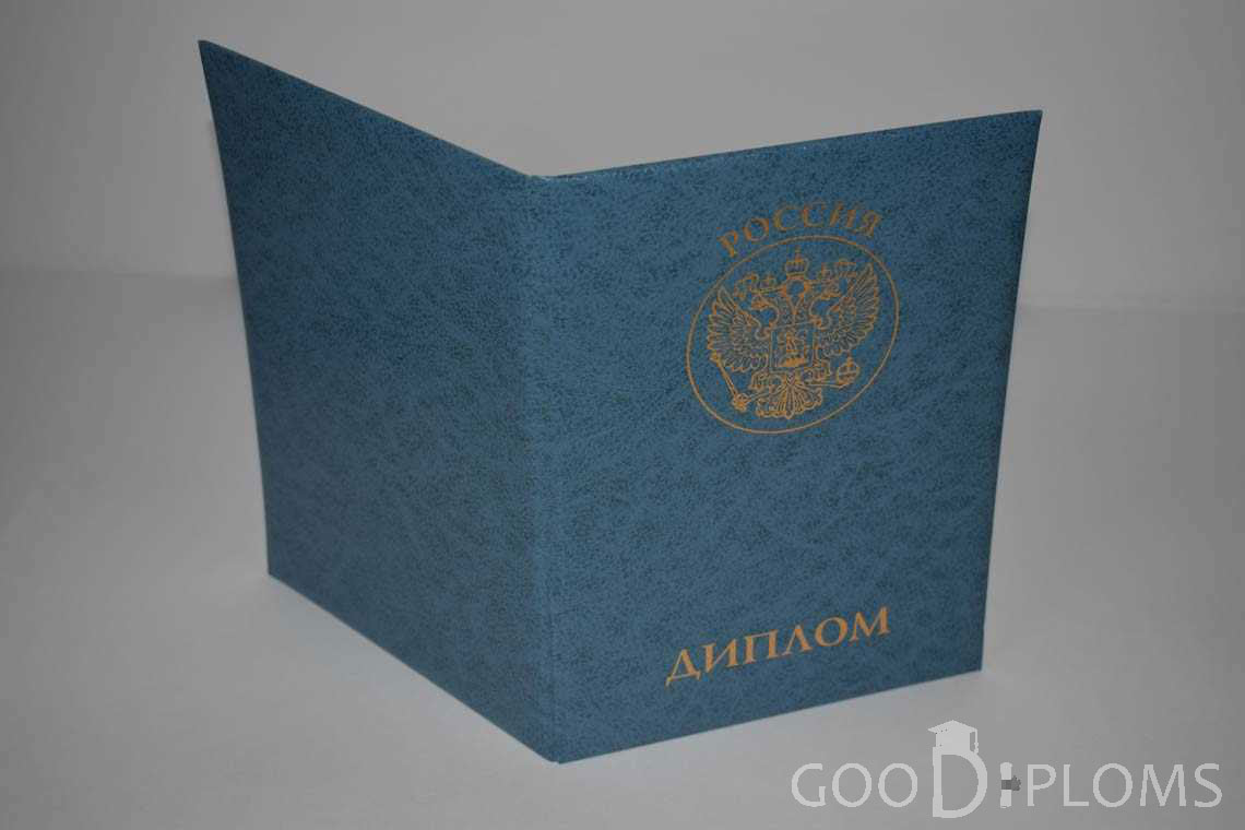 Диплом МВА - Обратная Сторона период выдачи 2011-2020 -  Кривой Рог