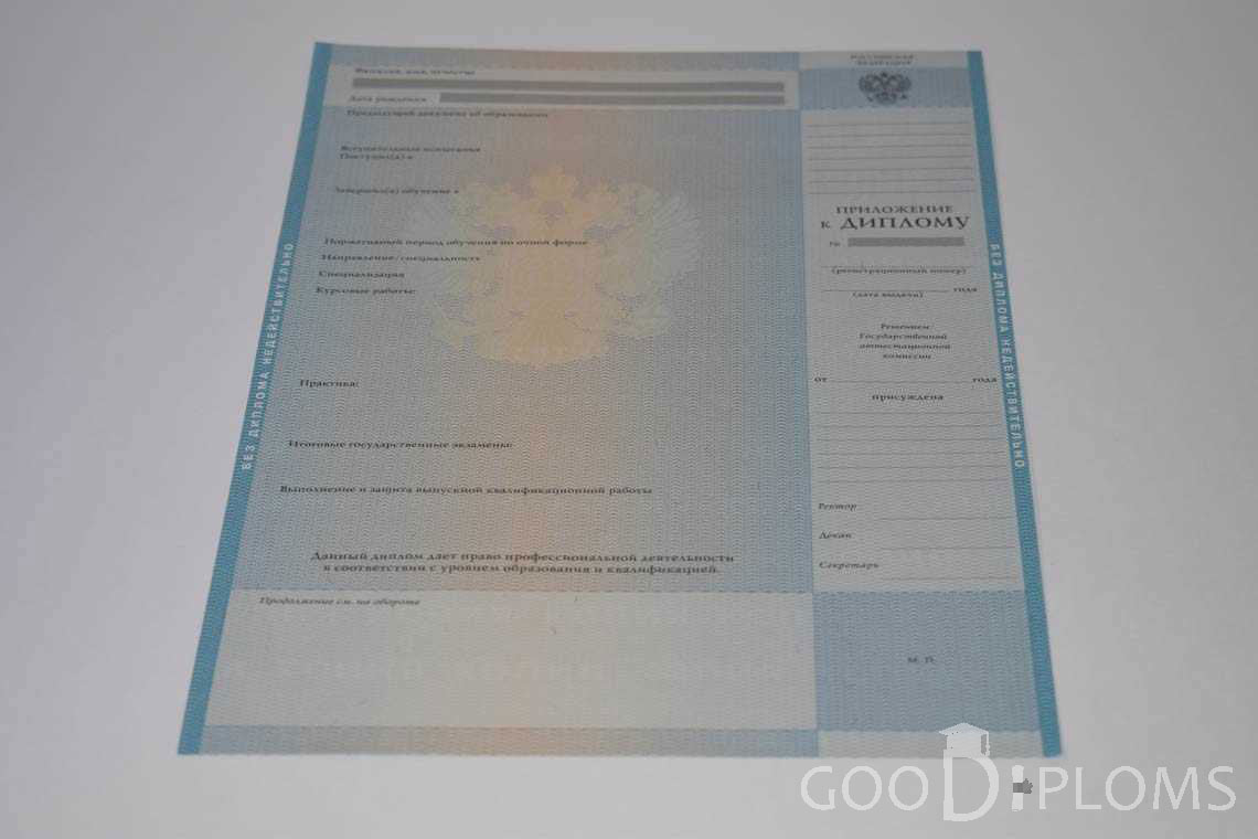 Приложение к Диплому Магистра в период c 2009 по 2010 год - Кривой Рог