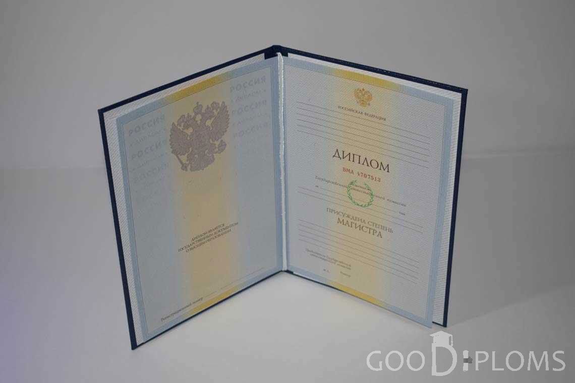 Диплом Магистра в период c 2009 по 2010 год - Кривой Рог