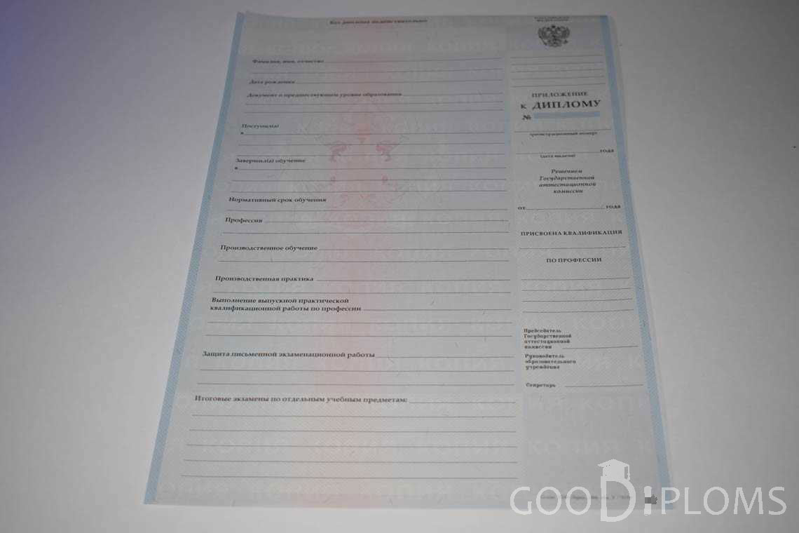 Приложение к Диплому Училища период выдачи 2007-2010  -  Кривой Рог