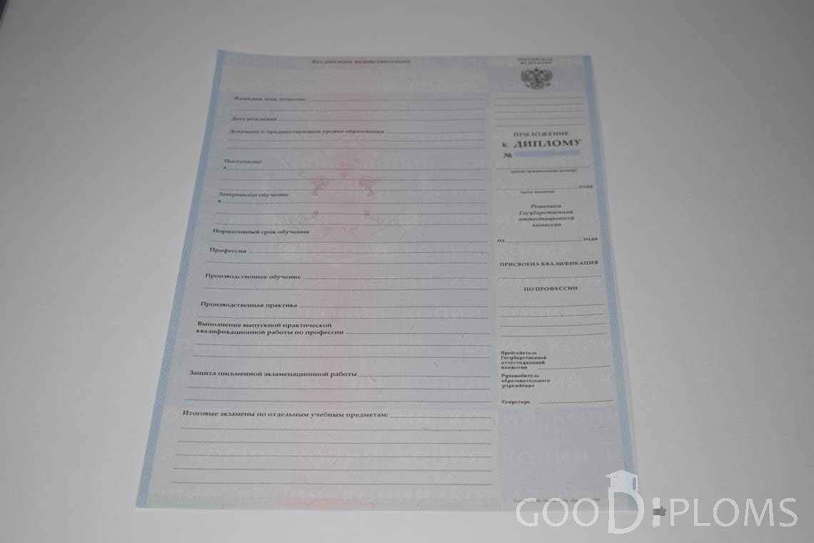 Приложение к Диплому Техникума с Отличием в период c 2008 по 2010 год - Кривой Рог