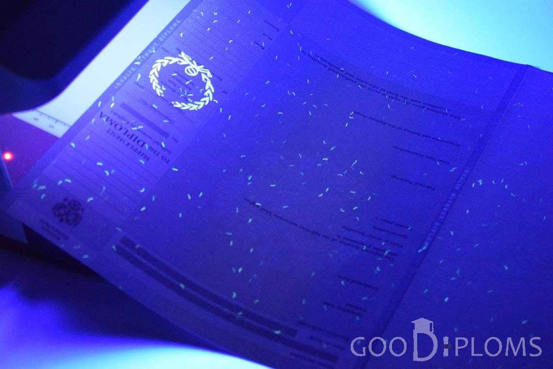 Приложение к Диплому Для Иностранных Граждан в Ультрафиолете - Кривой Рог