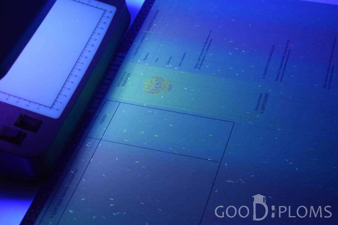 Приложение к Диплому о Высшем Образовании с Отличием в Ультрафиолете - Кривой Рог