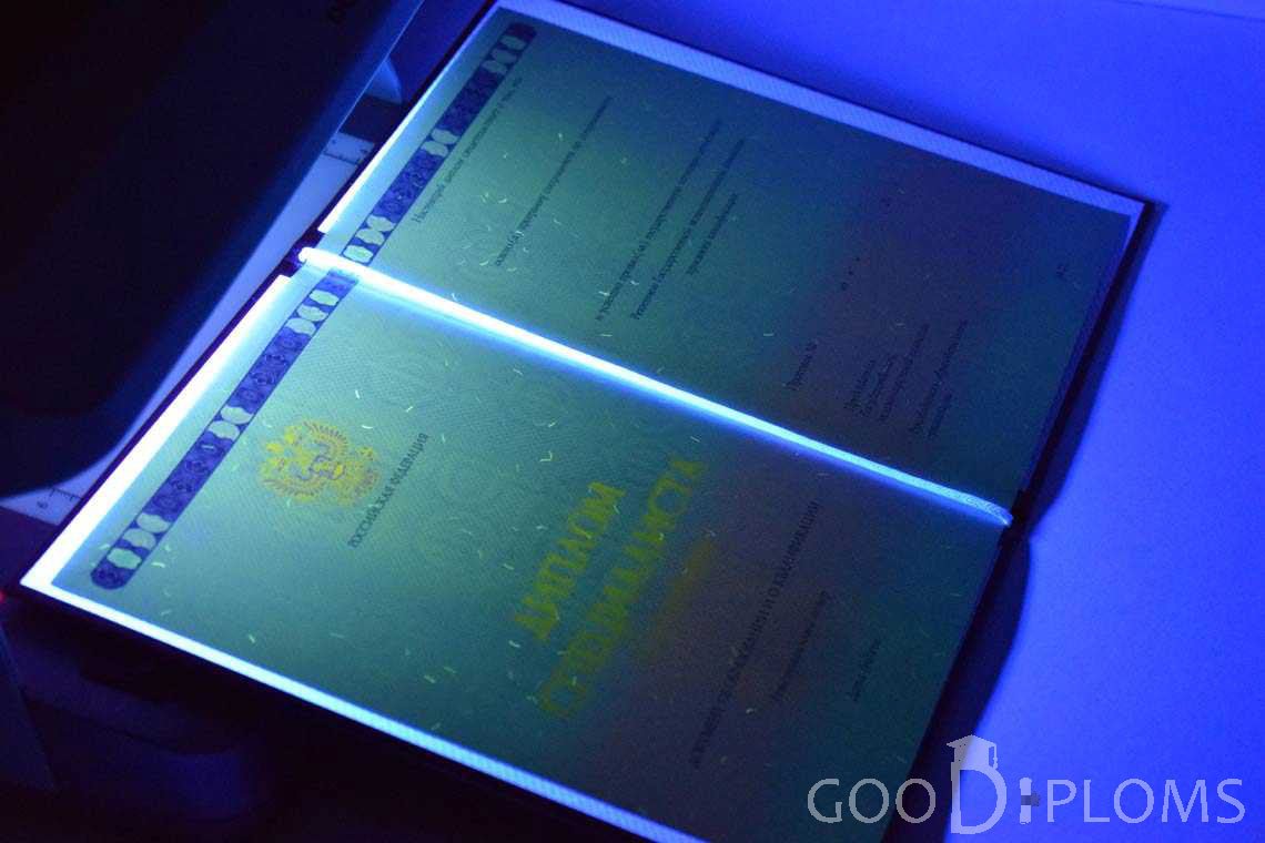 Бланк Диплома о Высшем Образовании с Отличием в Ультрафиолете - Кривой Рог